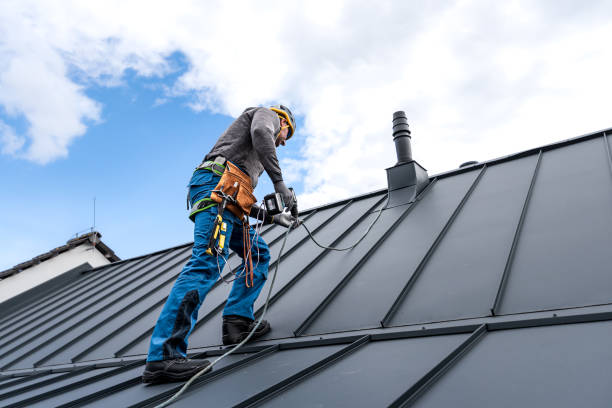Best Roof Coating and Sealing  in Warren Park, IN
